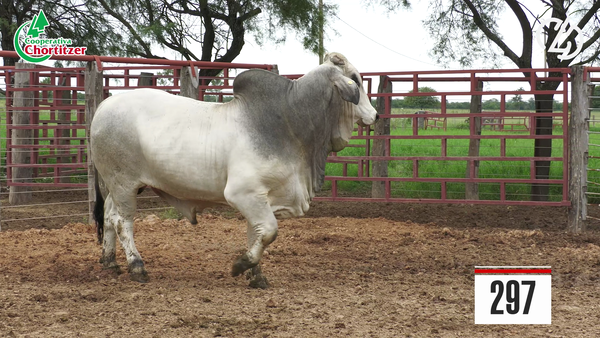 Lote Brahman