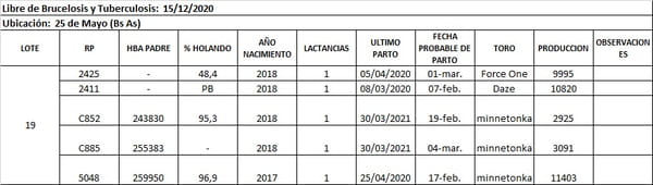 Lote Lote 19