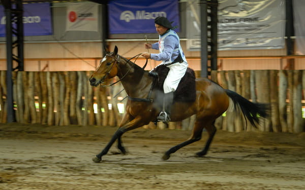 Lote FARRA SERENATA