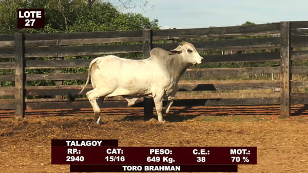 Lote Cabañas de Tradición - Lote 27