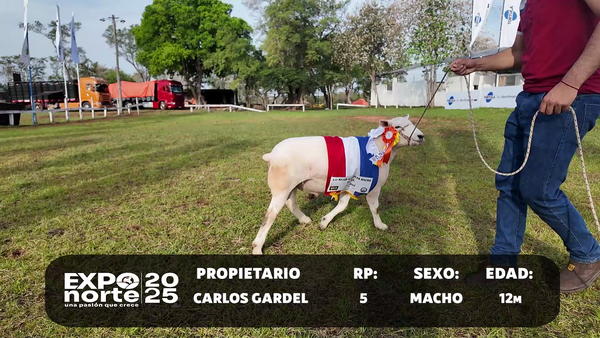 Lote RP 5