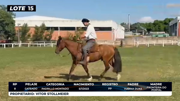 Lote LOTE 15- DE BOZAL