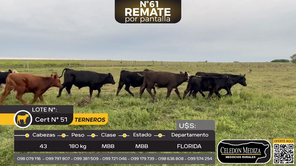 Lote 43 Terneros en Piedras Coloradas, Florida
