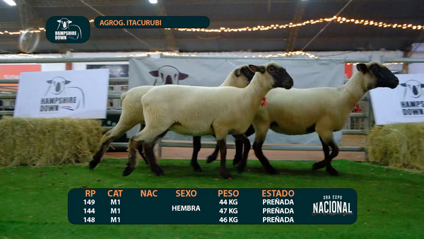 Lote LOTE 6 - AGROG. ITACURUBI - RP 144/149/148