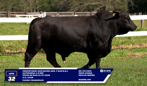 Lote LOTE 32