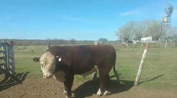 Lote CABAÑA SAN CARLOS DE LOS MESTIZOS