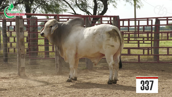 Lote Brahman