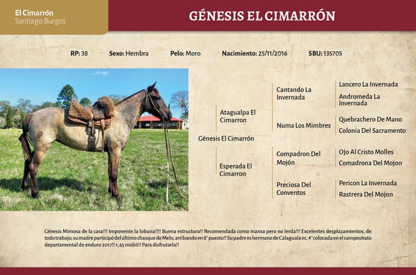 Lote Genésis (RP 38) - Cabaña El Cimarrón