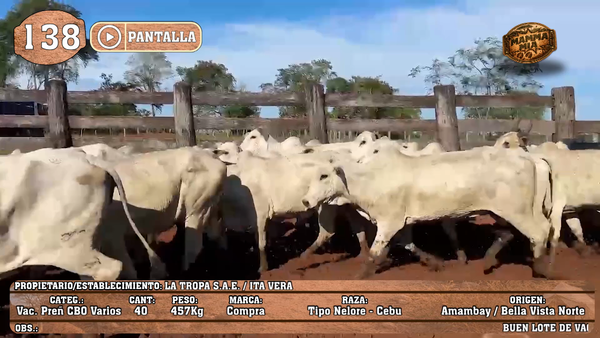 Lote LOTE 138 - PANTALLA