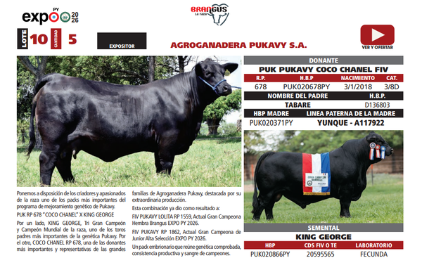 Lote LOTE 10