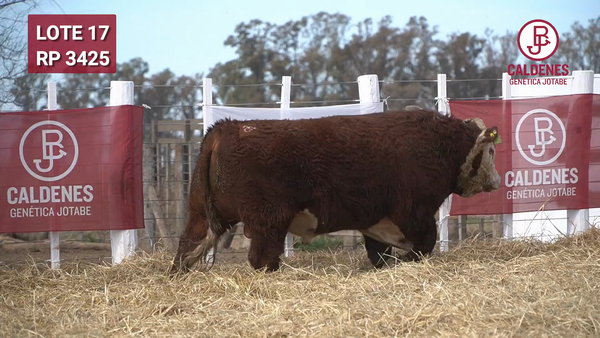 Lote Toro PR