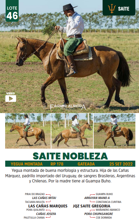 Lote LOTE 46