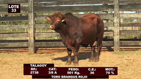 Lote Cabañas de Tradición - Lote 33