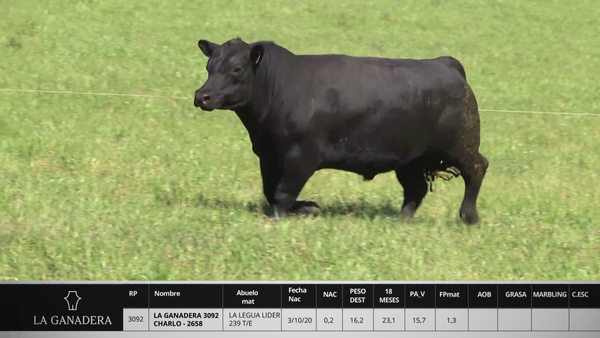 Lote LA GANADERA 3092 CHARLO - 2658