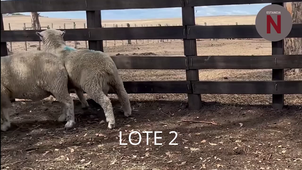 Lote Lote 2 - Estancia Nueva