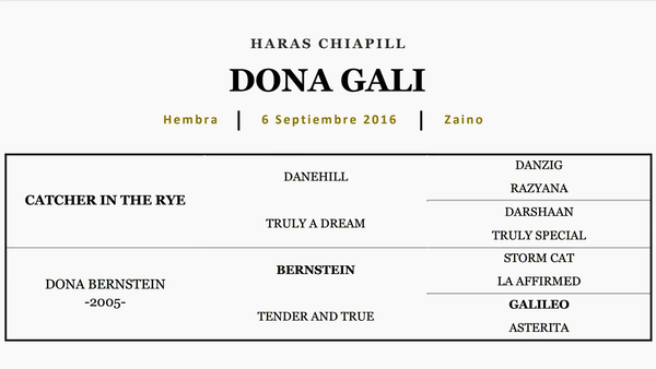 Lote DONA GALI (CATCHER IN THE RYE - DONA BERNSTEIN)