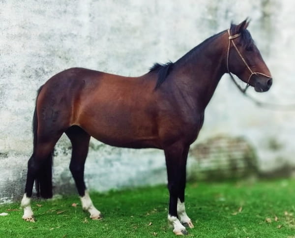 Lote LIMOSNA ESCONDIDA