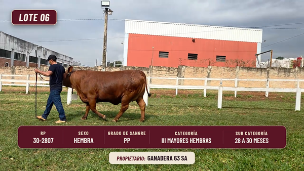 Lote LOTE 6