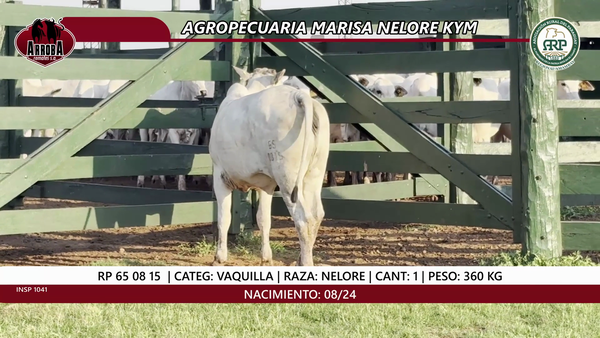 Lote VAQUILLA