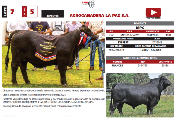 Lote LOTE 7