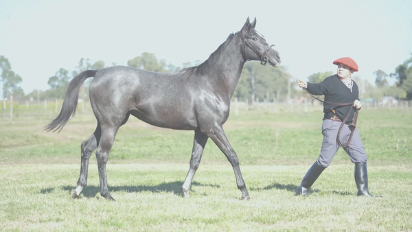 Lote KALATHA HENG (SEAHENGE -  SEA KALATH)
