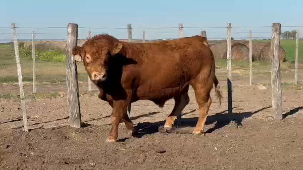 Lote RP XS37 CABAÑA EL OMBUCITO