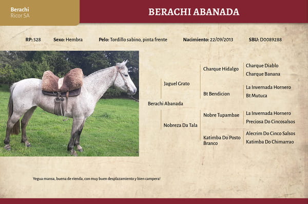 Lote Berachi Abanada (RP 528) - Cabaña Berachi