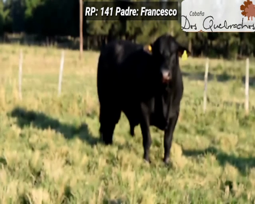 Lote CABAÑA "DOS QUEBRACHOS" RP141