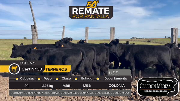 Lote 14 Terneros en Tarariras, Colonia