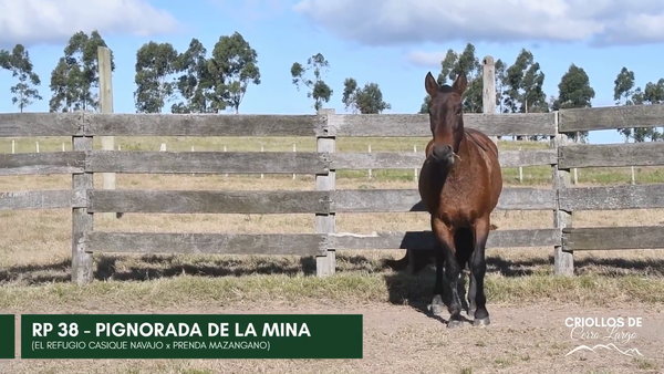 Lote PIGNORADA DE LA MINA