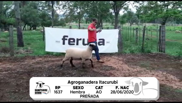 Lote LOTE 3 BOZAL - RP 1637