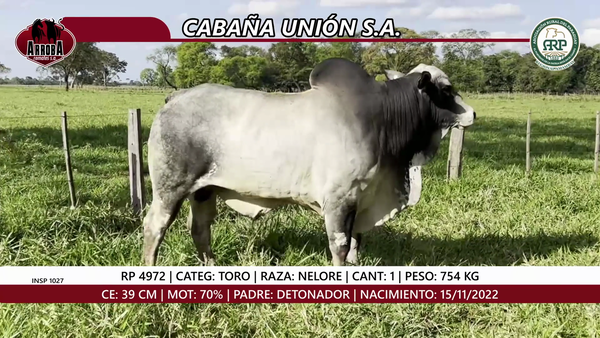 Lote TORO