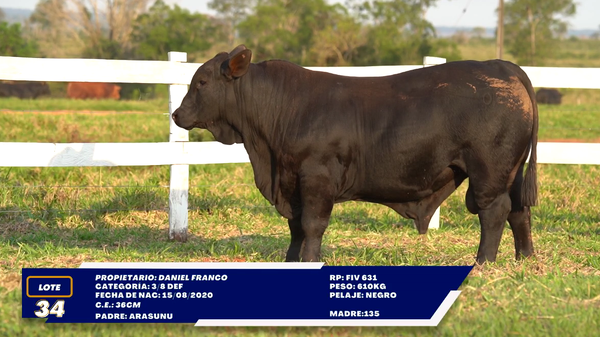 Lote LOTE 34