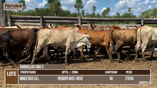 Lote LOTE 6