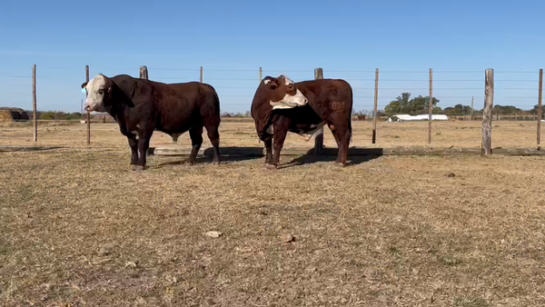 Lote CABAÑA LOS COLONIZADORES