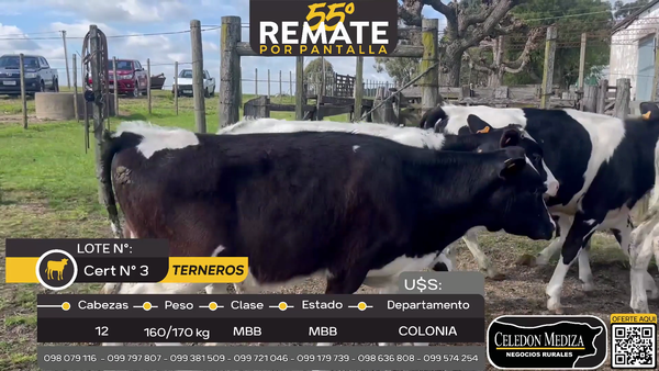 Lote 12 Terneros en ruta 50 a 2 km de ruta 54, Colonia