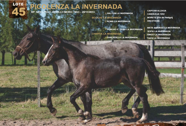 Lote PICOLENZA LA INVERNADA