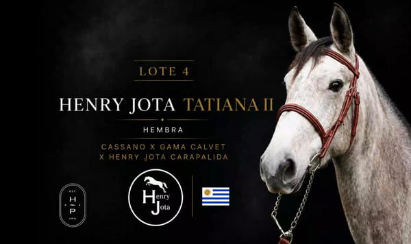 Lote HENRY JOTA TATIANA II