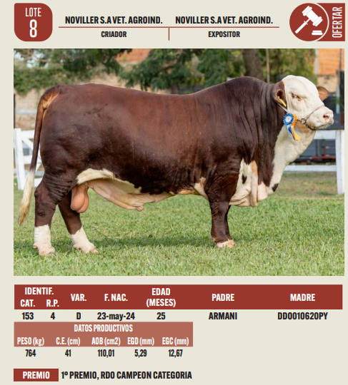 Lote LOTE 8
