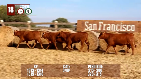 Lote Lote 18 Reserva de Cabaña