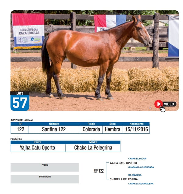 Lote Santina 122