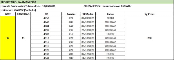 Lote Lote 92 La amanecida