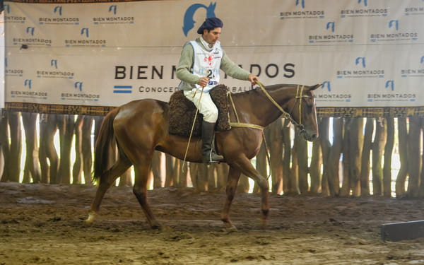 Lote BENDITO PROMESA