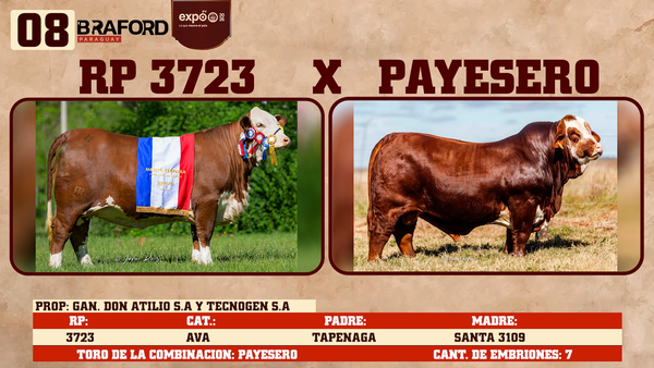 Lote LOTE 8