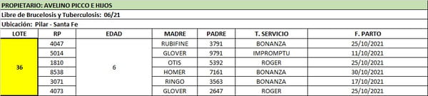 Lote Lote 36 Avelino Picco