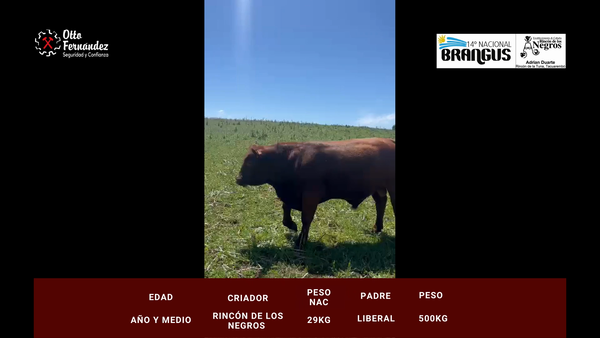 Lote Rincon de Los Negros