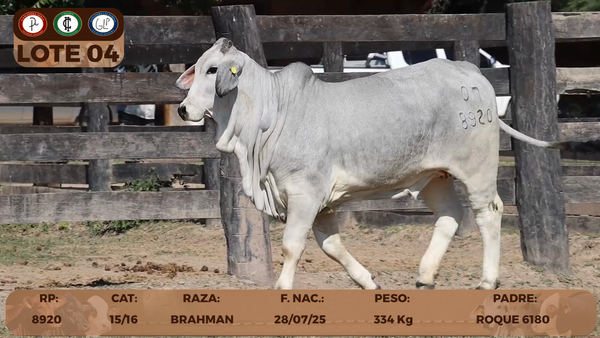 Lote LOTE 4- RESERVA DE CABAÑA