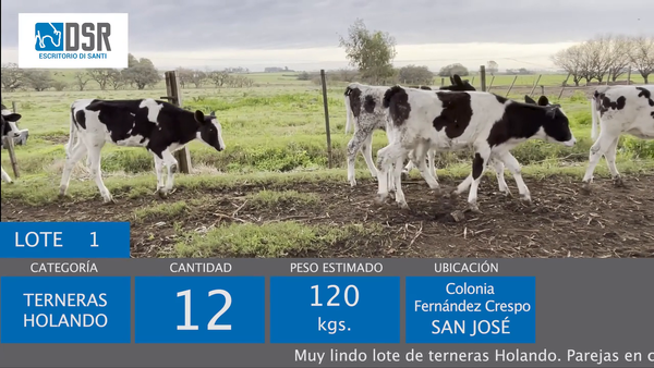 Lote 12 Terneras, Florida
