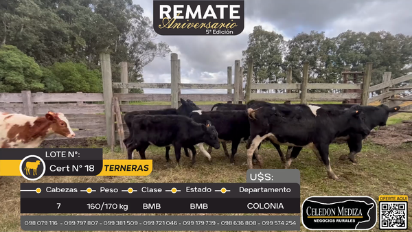 Lote 7 Terneras en Quintón, Colonia