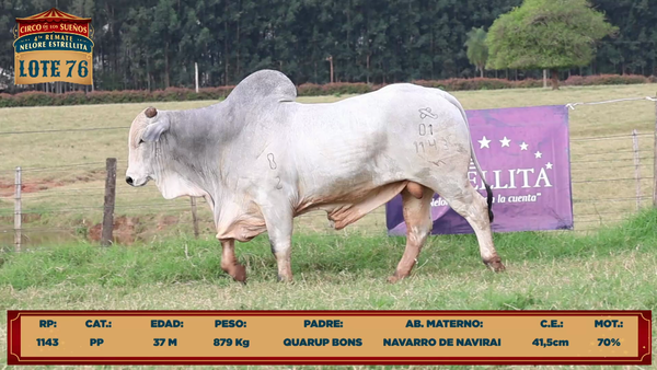 Lote LOTE 76